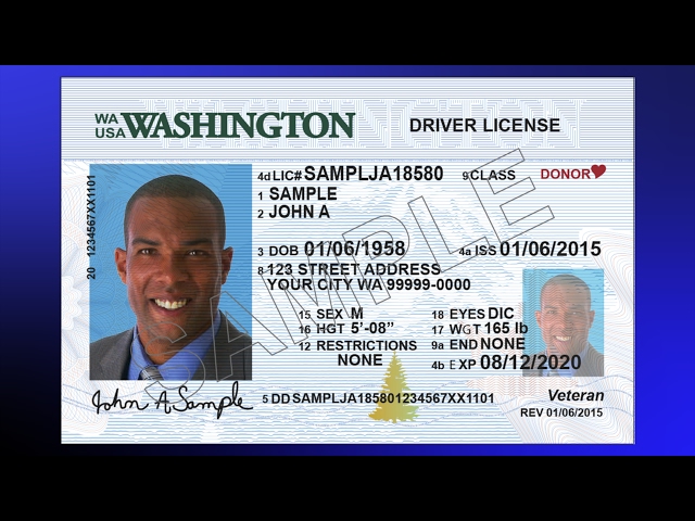 wa test driver license