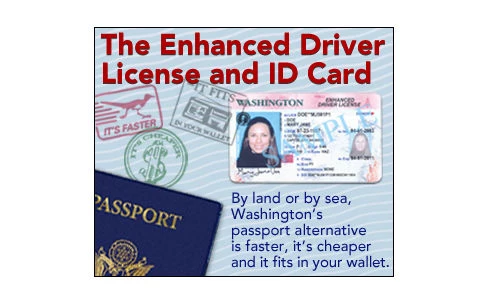 washington state dol driver's license