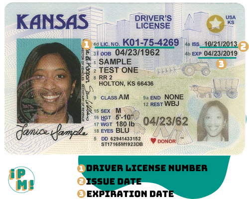 what do the numbers mean on your driver's license