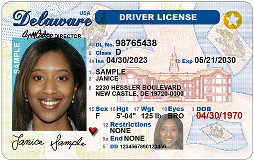 what does y mean on driver's license