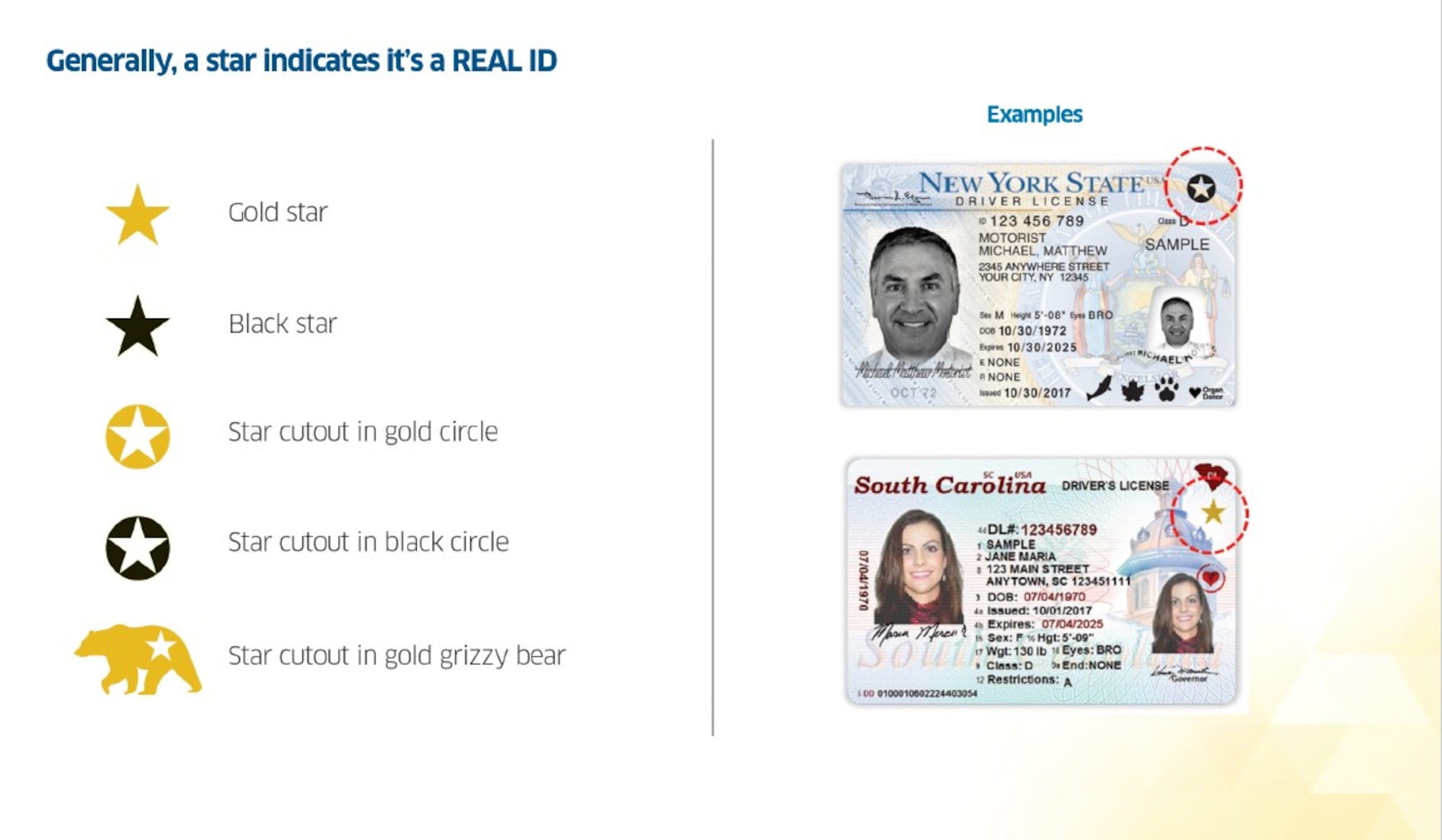 what is a state issued enhanced driver's license