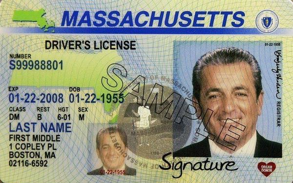 what is class dm driver's license