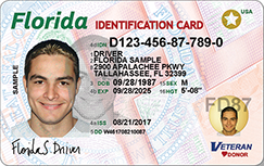 what is current issue date of florida driver's license