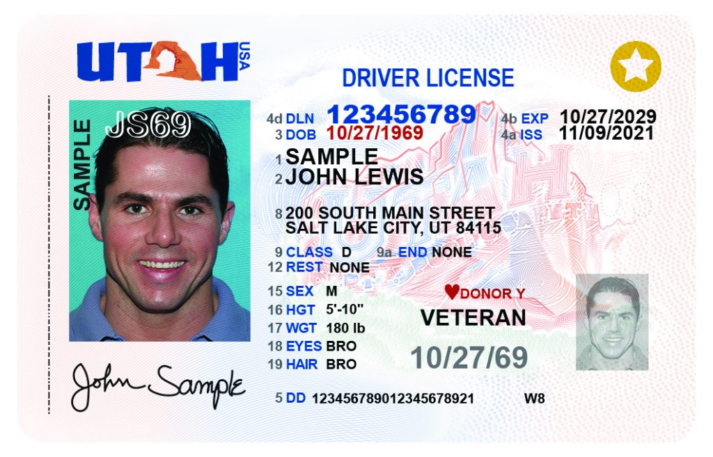 what is the dd on a driver's license
