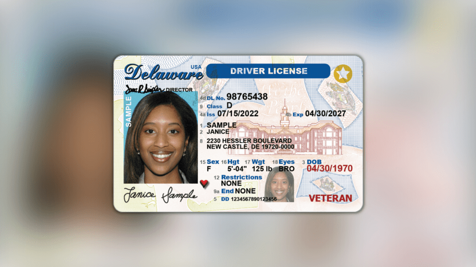 what is the dd on a driver's license