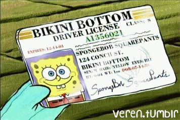what to bring for driver license