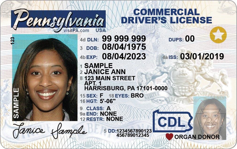 what you need for a driver's license