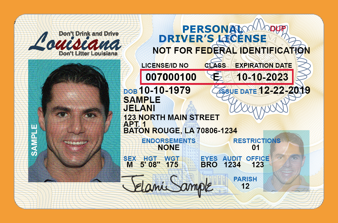 where can i get a duplicate driver's license