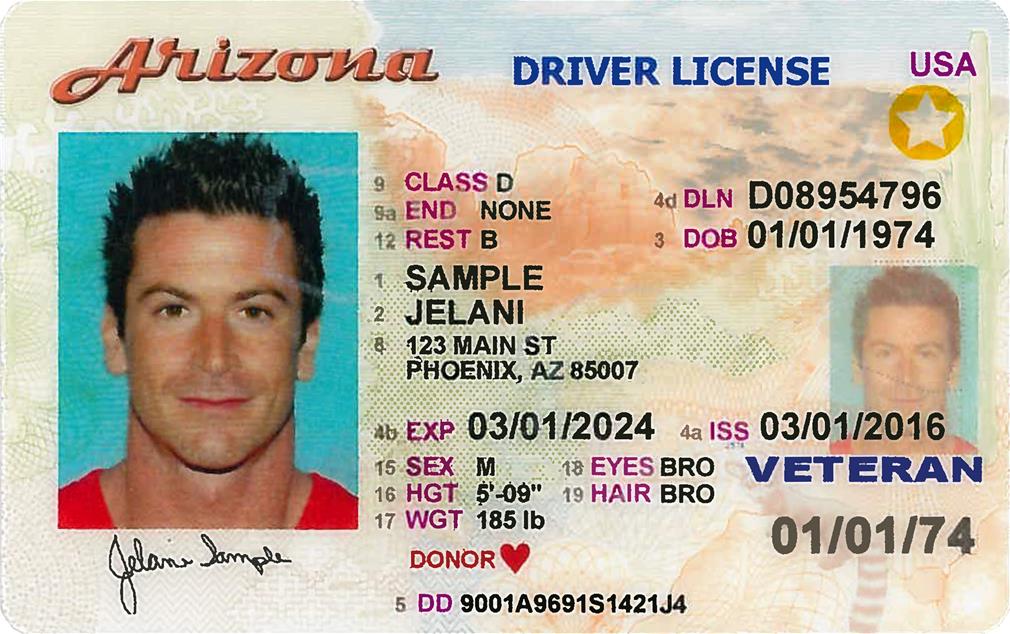 where can you travel with a us driver's license