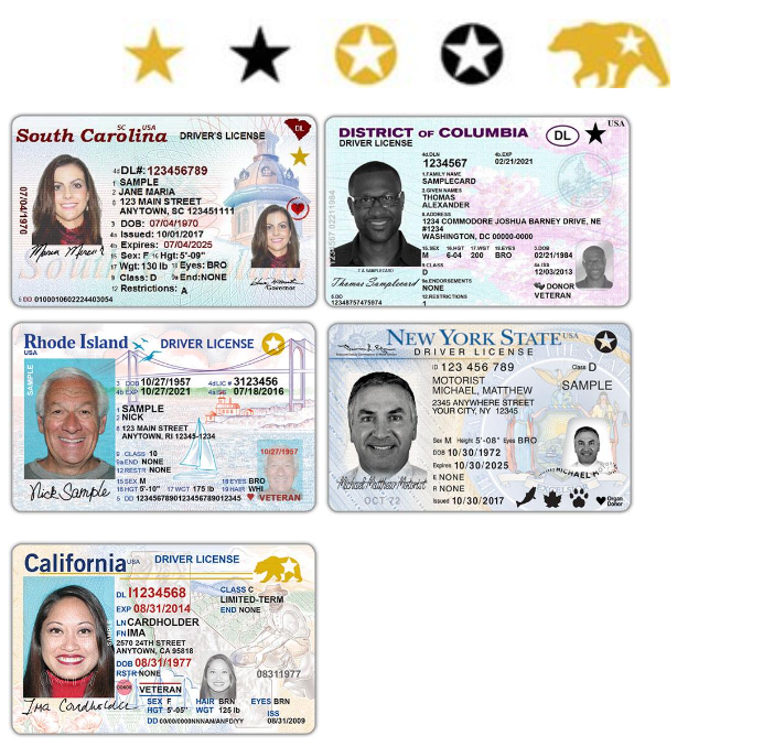 where can you travel with a us driver's license
