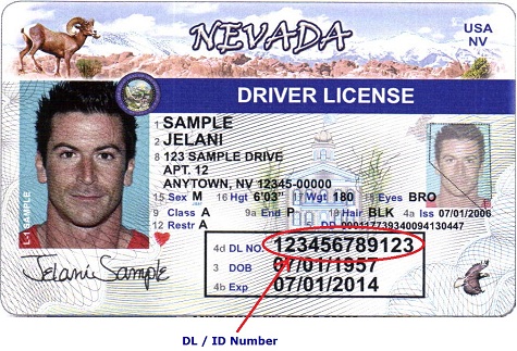 where the driver license number located