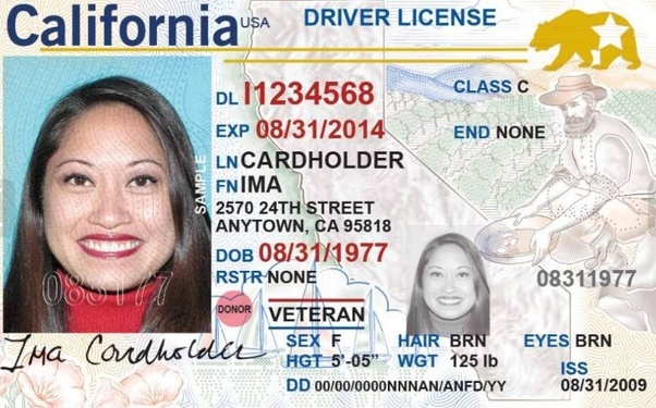 where to find a driver's license number