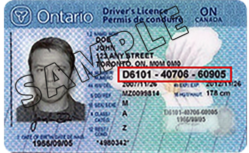 where to find a driver's license number