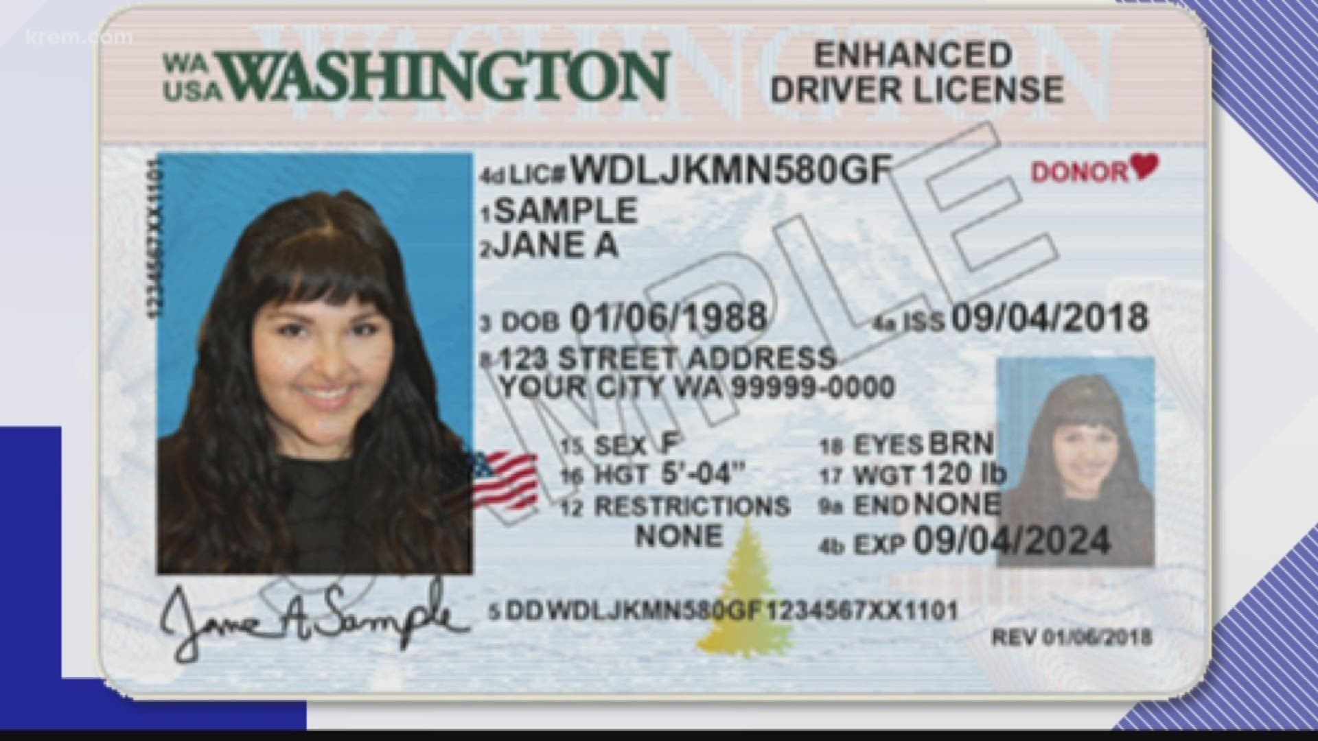 whti-compliant driver's license